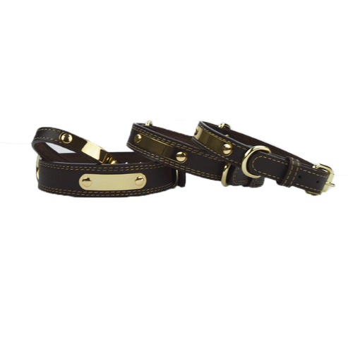 Personalized Dog Collar for Medium to Large Dogs